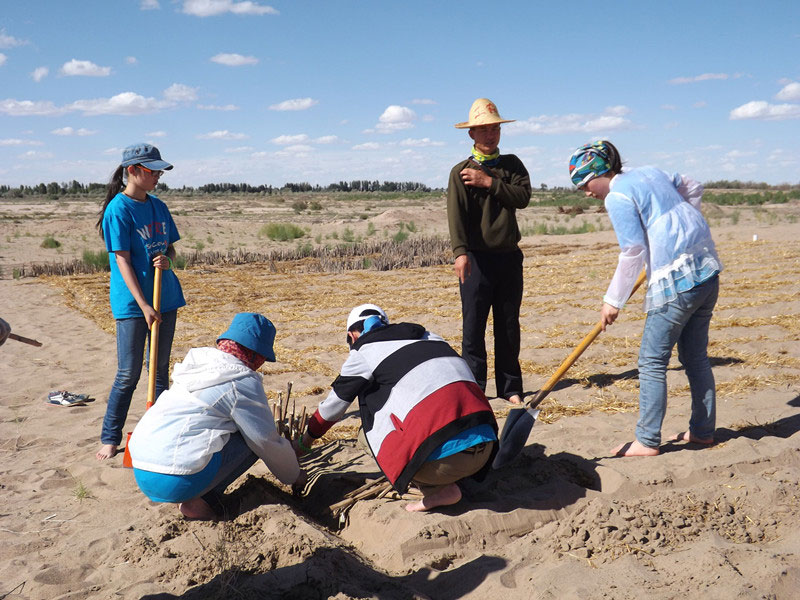 �@�N1.5��Ҋ�������ݸ�������ɳЧ����������^4��5���͕��L(f��ng)�g��������Ҫ�����a(b��)����