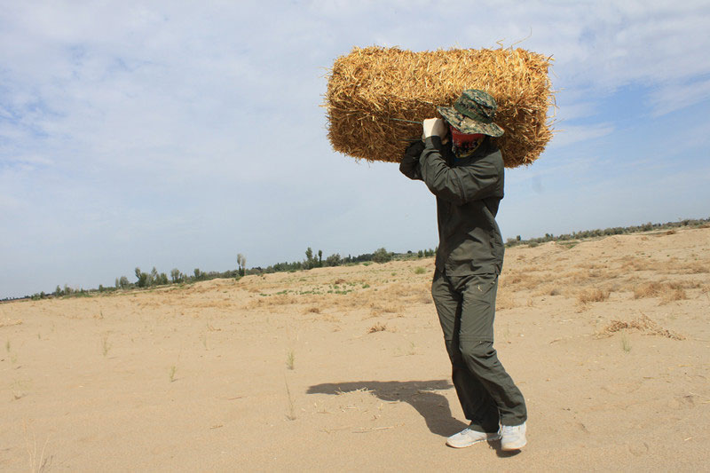 �F�T���i�������������ϳ����������������؟�Ρ�