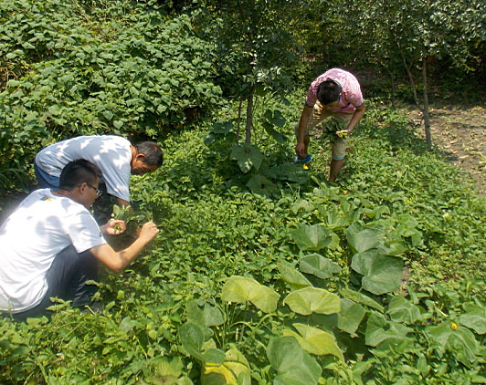 �ڶ��죬�(du��)�T���_ʼ��(l��i)�����B(t��i)�r(n��ng)��(ch��ng)�w�(y��n)�r(n��ng)��������������ժ�ˡ�