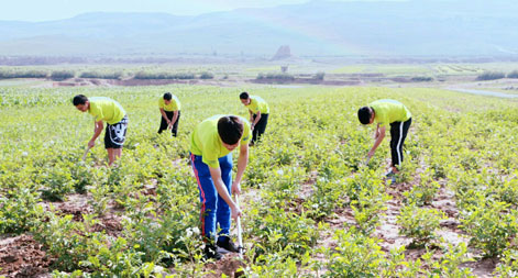 ɽ����ͬ��W���ǻ����ơ��l(xi��ng)��־Ը���ՈF���M�l(xi��ng)������