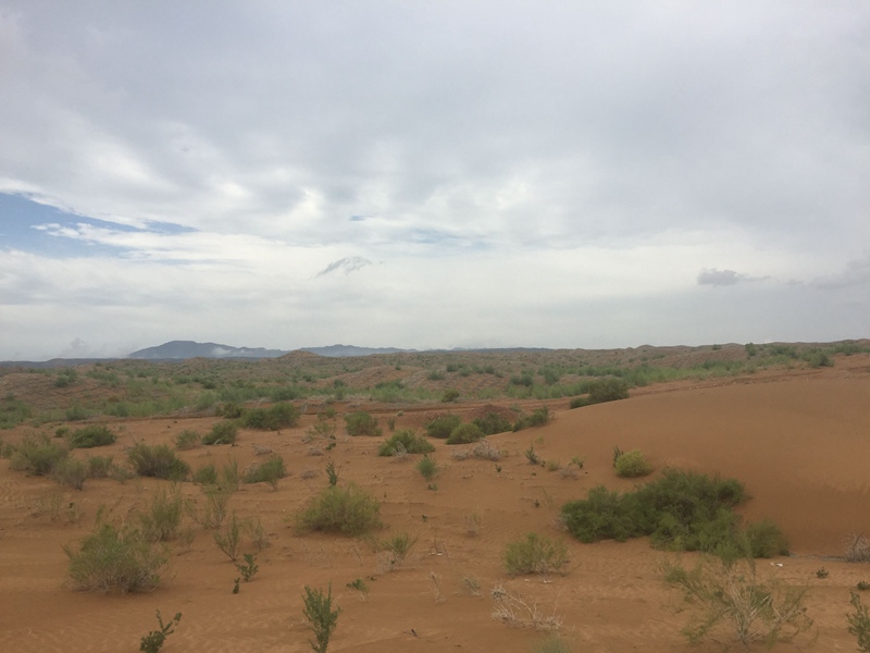 �v����ɳĮ�޾W(w��ng)������ݷ����ﲼ�M�[�d��ɳ��ֲ����