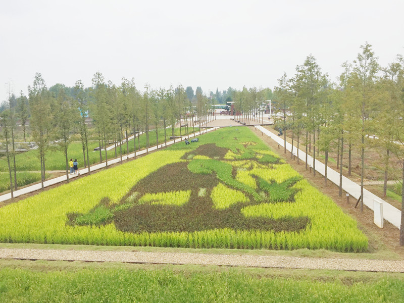 ������L�������������zӰ����־�ۣ�