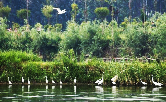 ͯԒ�ϼң���������Ԋ�����Ϙ���f����