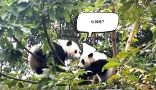 �L�L��̫�ɐ�(��i)����С��ȫ�̡���ĸЦ����