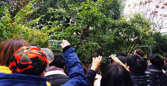 �@�����ӵ������ɶ����W(w��ng)�j(lu��)���ˁ�(l��i)�c(di��n)ٝ